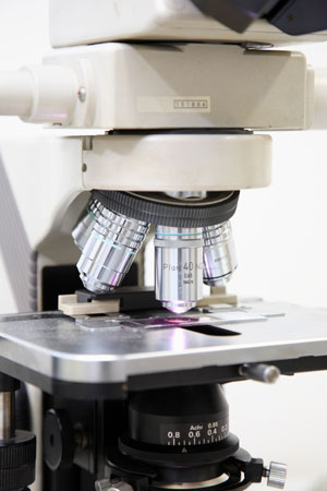 c51166a99fdba59f54668b62f5d